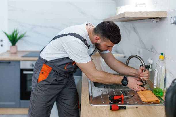 Best Same-Day Plumbing Service  in Allison, IA