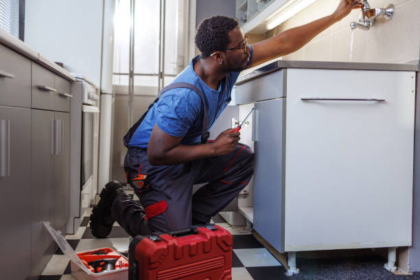 Best Local Plumber Services  in Allison, IA